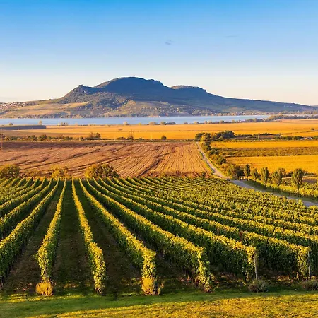 アパート Palava *